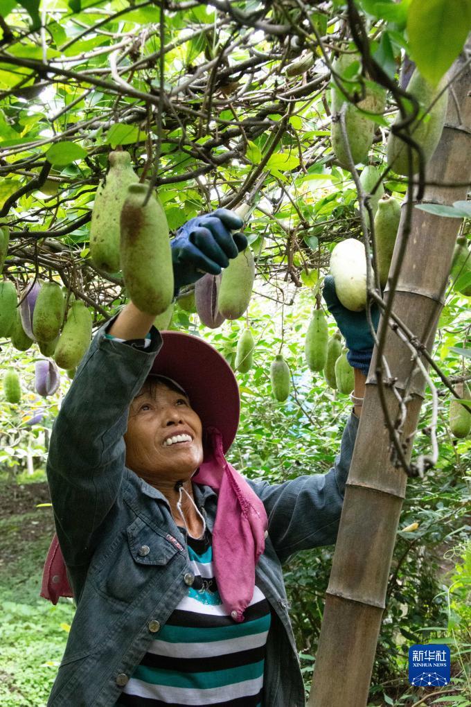 皇冠注册网
